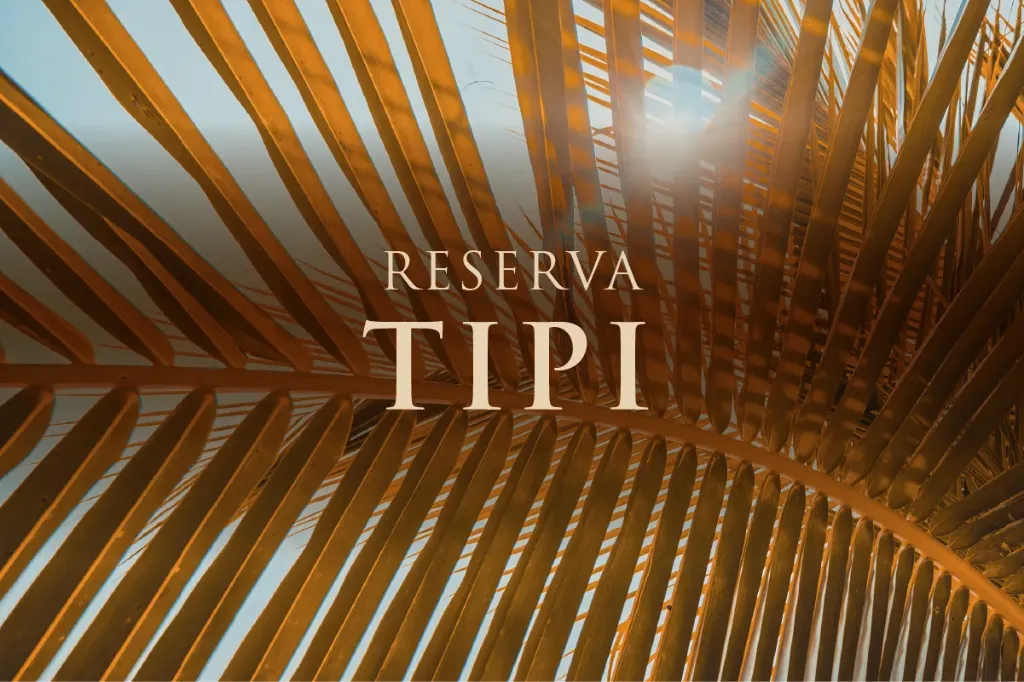 Experiencia Makay TIPI (Reservas)